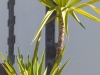 114
