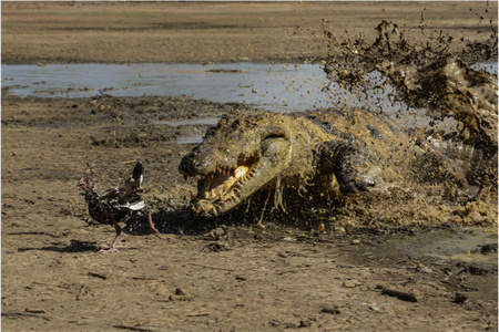 Photo cup 1st Switzerland