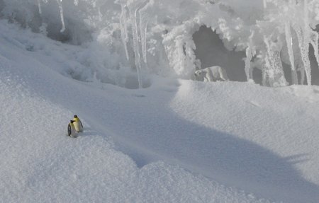 FINLAND Ilona Mettiäinen - Look at the new menu!